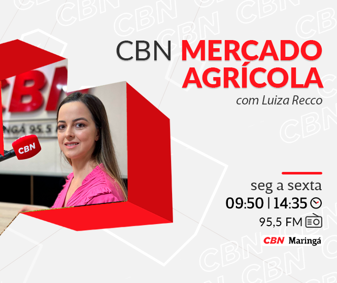 Em Maringá, trigo é cotado na média a R$ 77,00 a saca de 60 kg