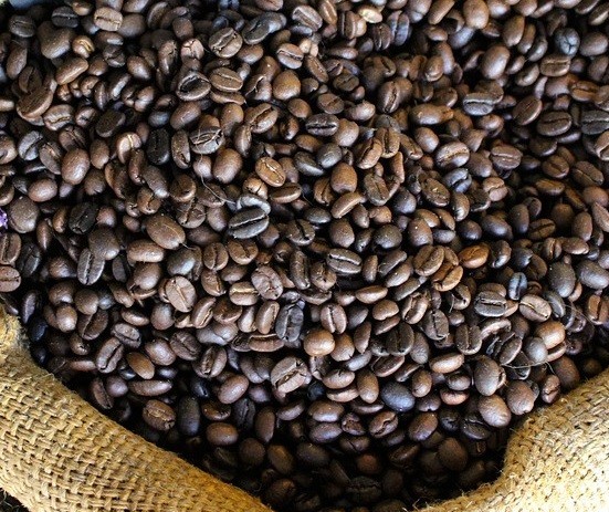 Café em coco custa R$ 5,65 kg 