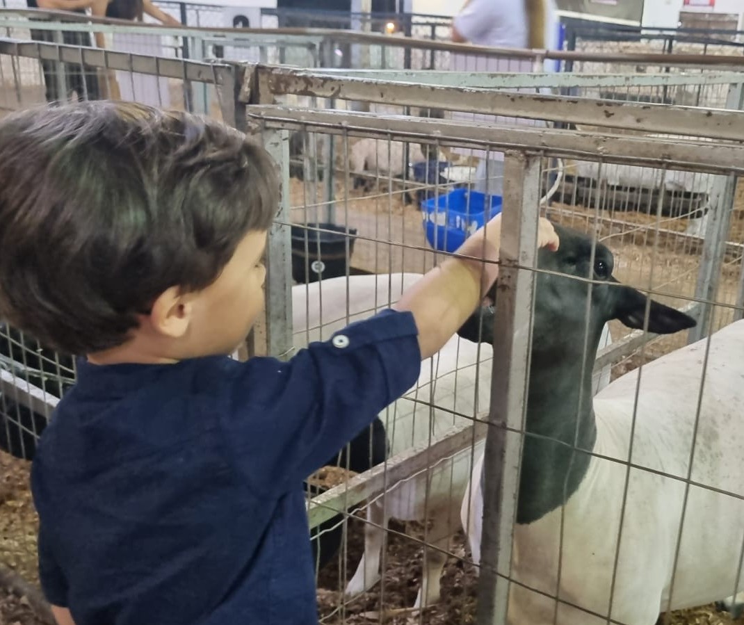 Crianças têm primeiro contato com animais na Expoingá 