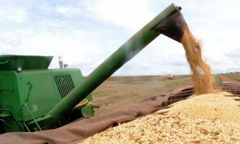 Produção de soja mantém estimativa em 133 mi de toneladas