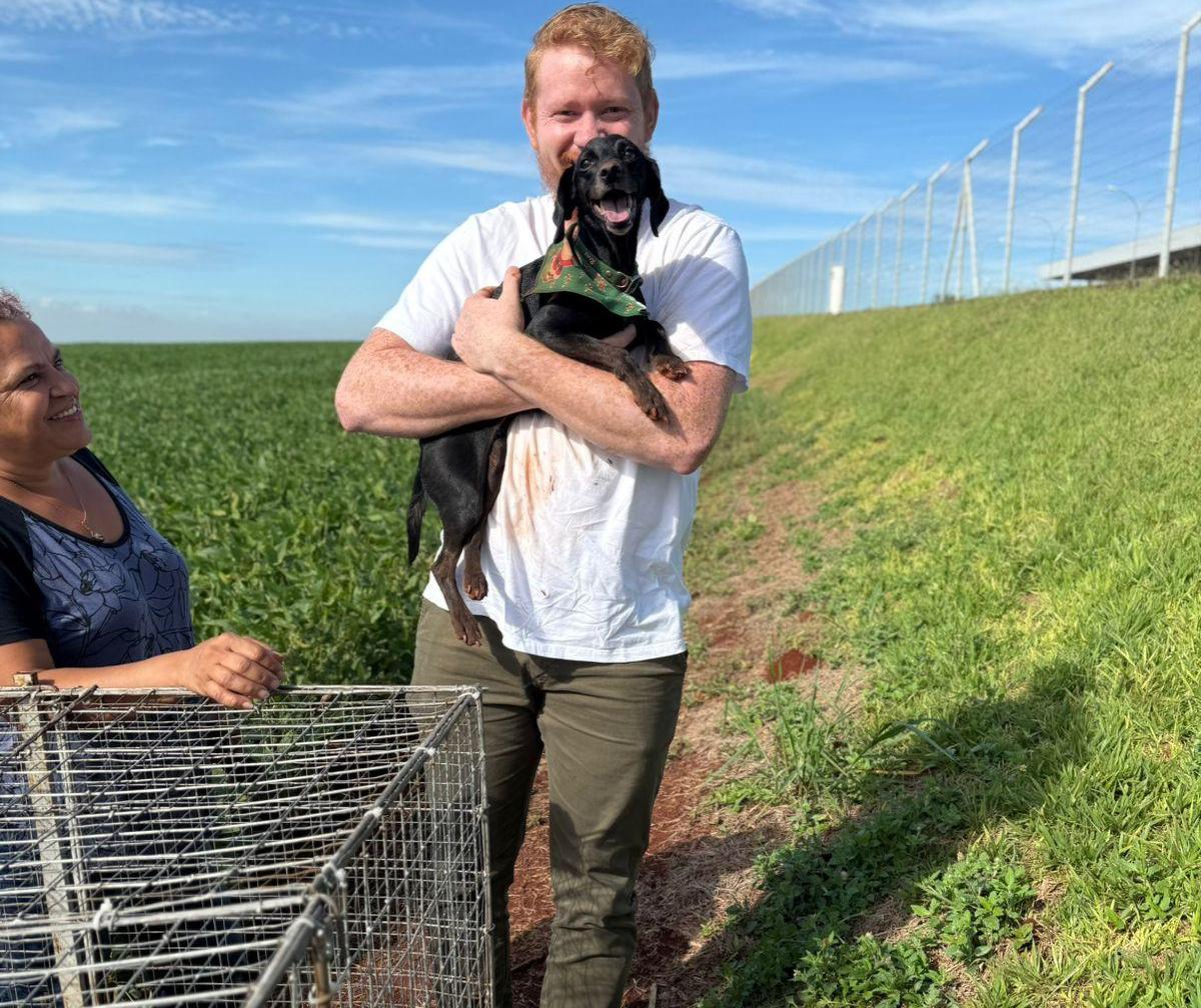 Cachorrinha desaparece após acidente em rodovia e é encontrada 22 dias depois