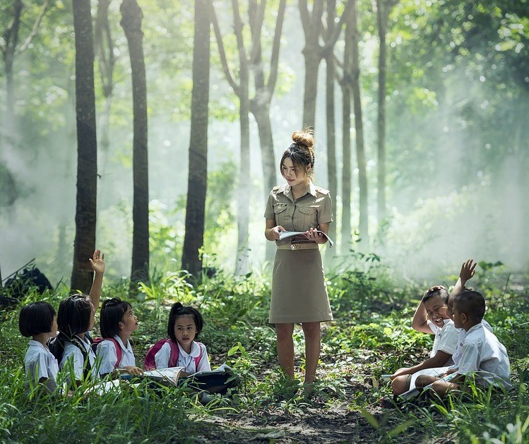 ‘Creche da floresta’ busca ensinar crianças com produtos encontrados na natureza