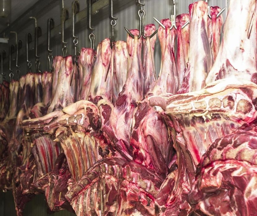 Analistas acreditam no aumento da demanda por carne bovina 