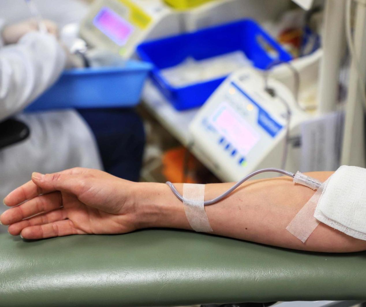 Dia do Doador de Sangue impulsiona coletas no hemocentro da UEM
