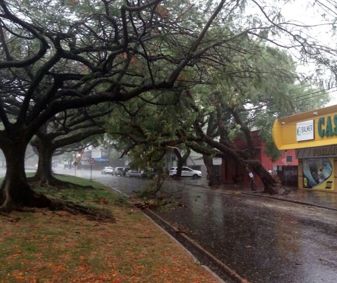 Chuva provoca estragos em Maringá
