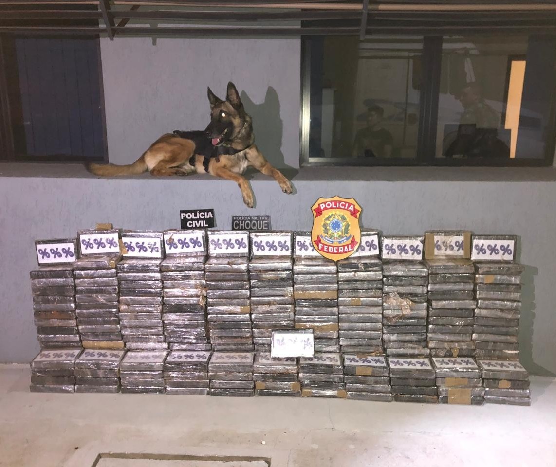 Polícia Federal apreende 233 kgs de cocaína em pó