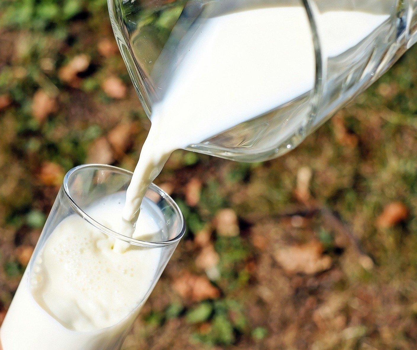 Preço pago a produtor de leite interrompe alta desde junho e pode cair até 7%