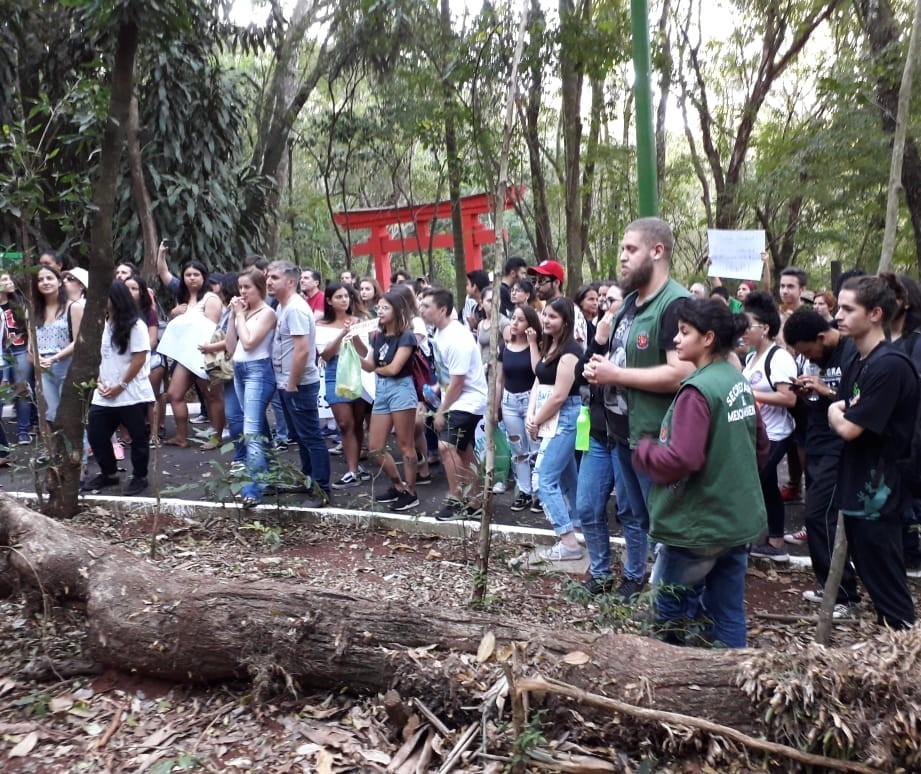 Maringá tem ato em defesa da Floresta Amazônica