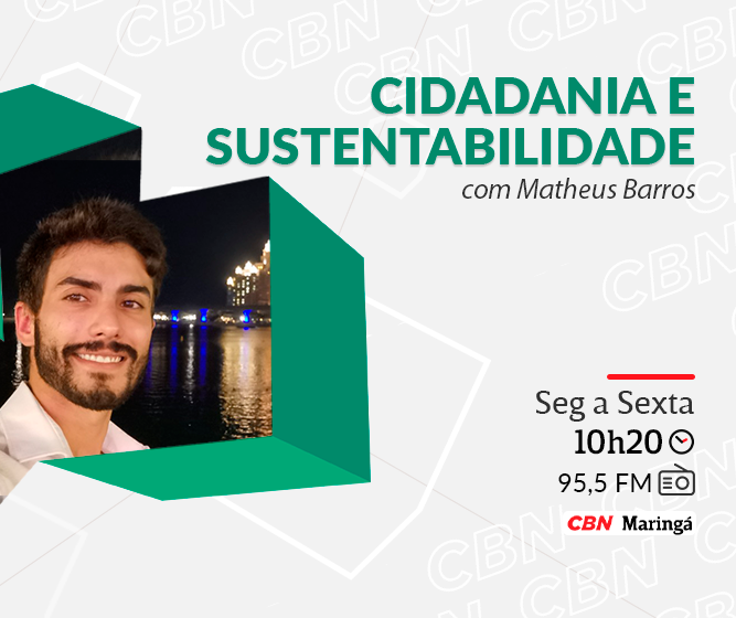 Dicas para construir um telhado verde leve e durável