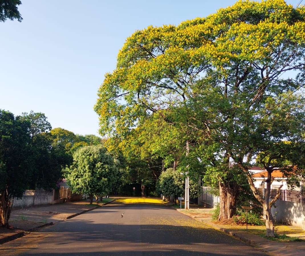 Temperatura pode chegar a 33ºC neste domingo (29) em Maringá  