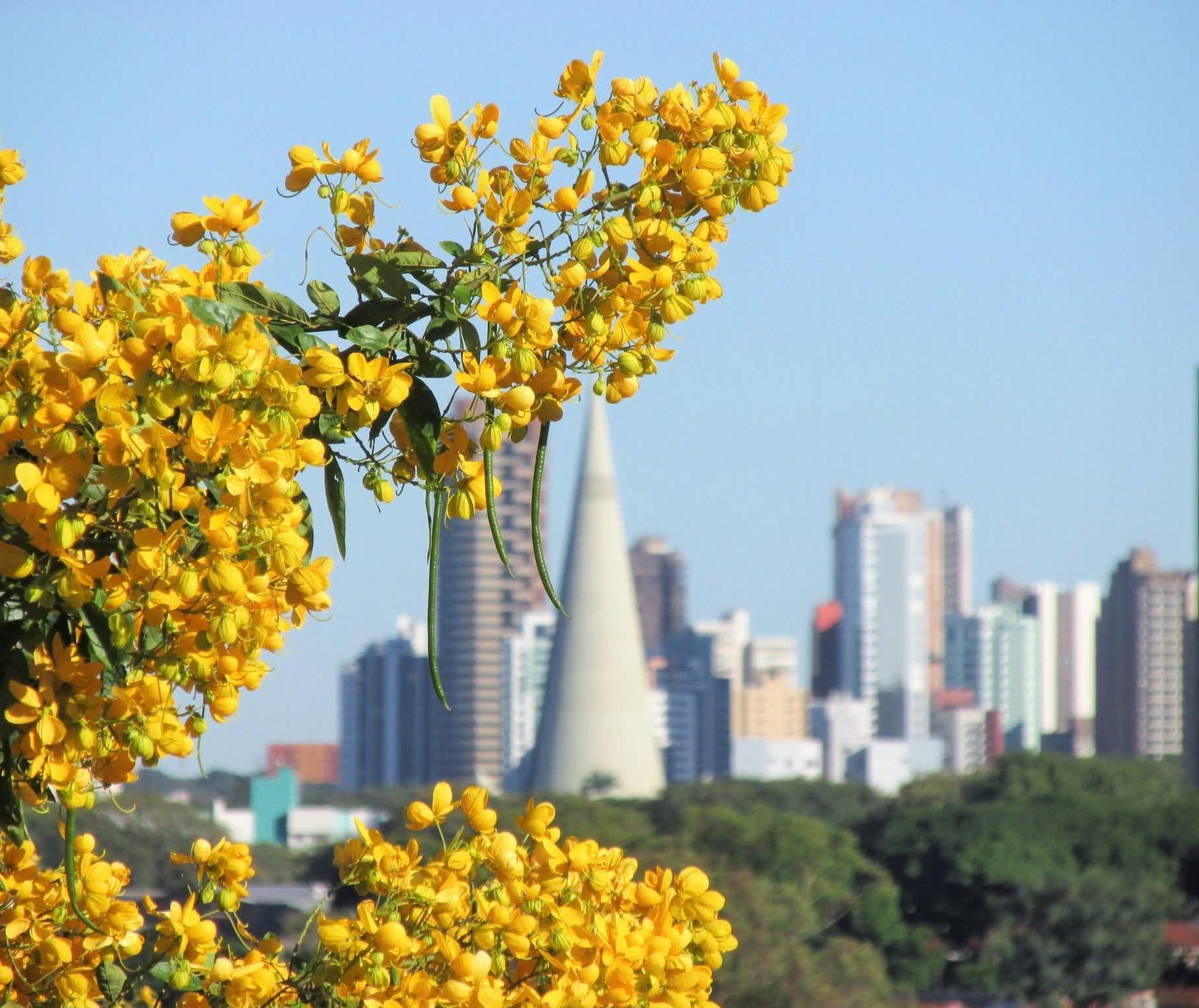 Confira a previsão do tempo em Maringá e no Paraná nesta quarta (4)