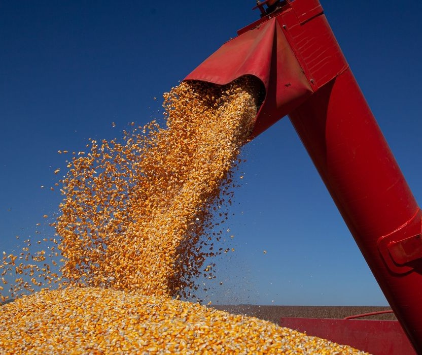 Governo zera impostos incidentes na importação de milho