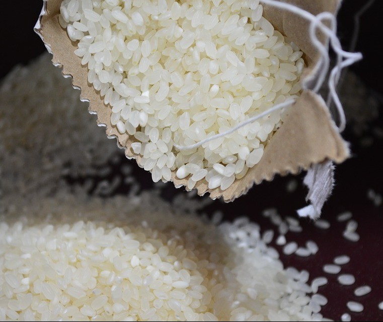 Rendimento da colheita de arroz fica abaixo do esperado