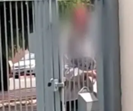 Ladrão é flagrado furtando fiação de casa e poste de Maringá; vídeo
