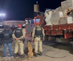 Denarc e BPRv apreendem quase 600 quilos de maconha