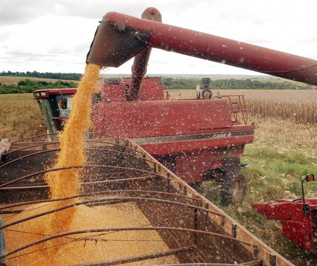 Safra de grãos de 2020 deve bater recorde e chegar a 240 milhões de toneladas