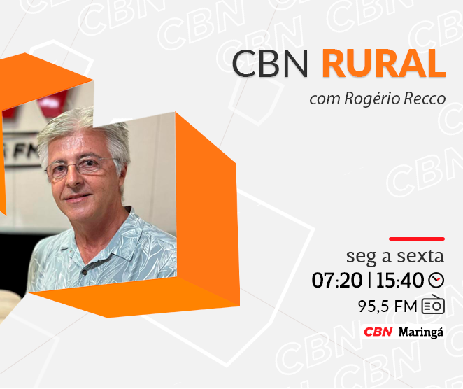Brasileiro mantém preferência pela carne bovina, mas busca cortes baratos