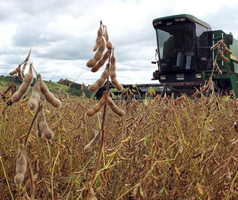 Produção de soja no Paraná reduz 14%