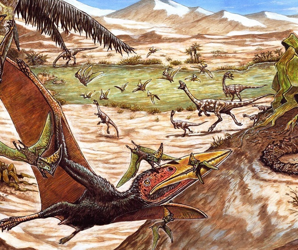 Mais um pterossauro é descoberto em Cruzeiro do Oeste
