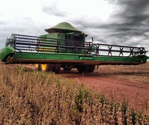 Chuvas dificultam colheitas de grãos
