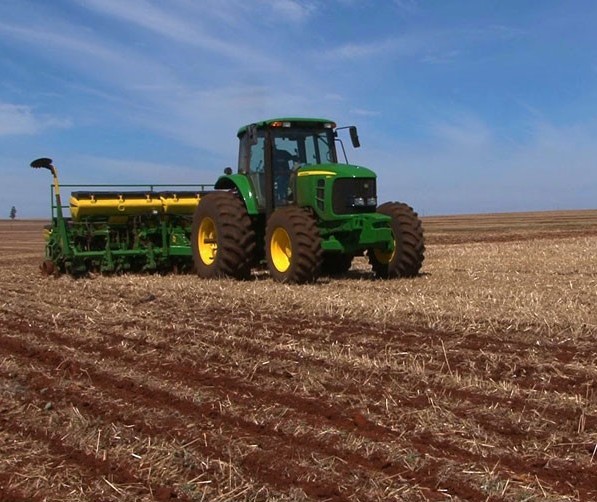 Plantio de soja no Paraná atinge 18% da área estimada