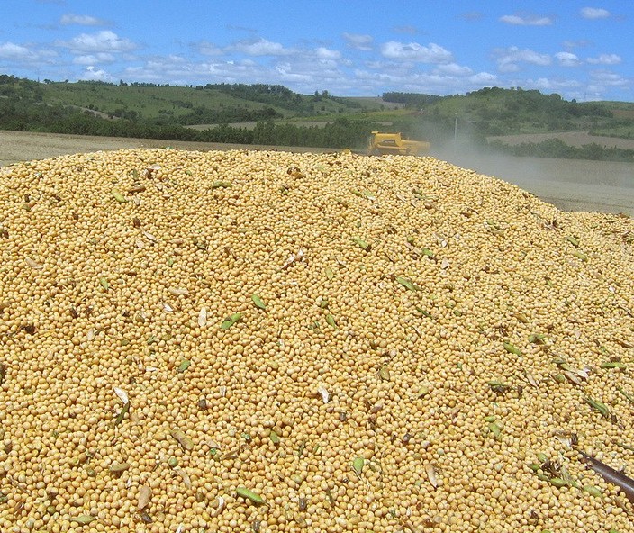 Agronegócio é responsável por 77% das exportações do Paraná