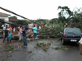 Chuva derruba árvores e muros no Jardim Novo Independência, em Sarandi