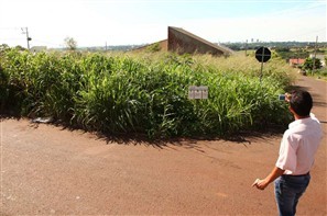 Quase 3 mil autuações foram emitidas em Maringá no ano passado a proprietários de terrenos abandonados