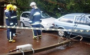 Oito carros são atingidos por queda de árvore no centro de Maringá
