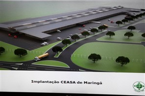 Consultor italiano se reúne com gestores da Amusep para pedir apoio para implantação de plano de modernização da Ceasa do Paraná