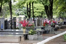 Milhares de visitantes vão passar nesta sexta-feira pelo cemitério municipal de Maringá