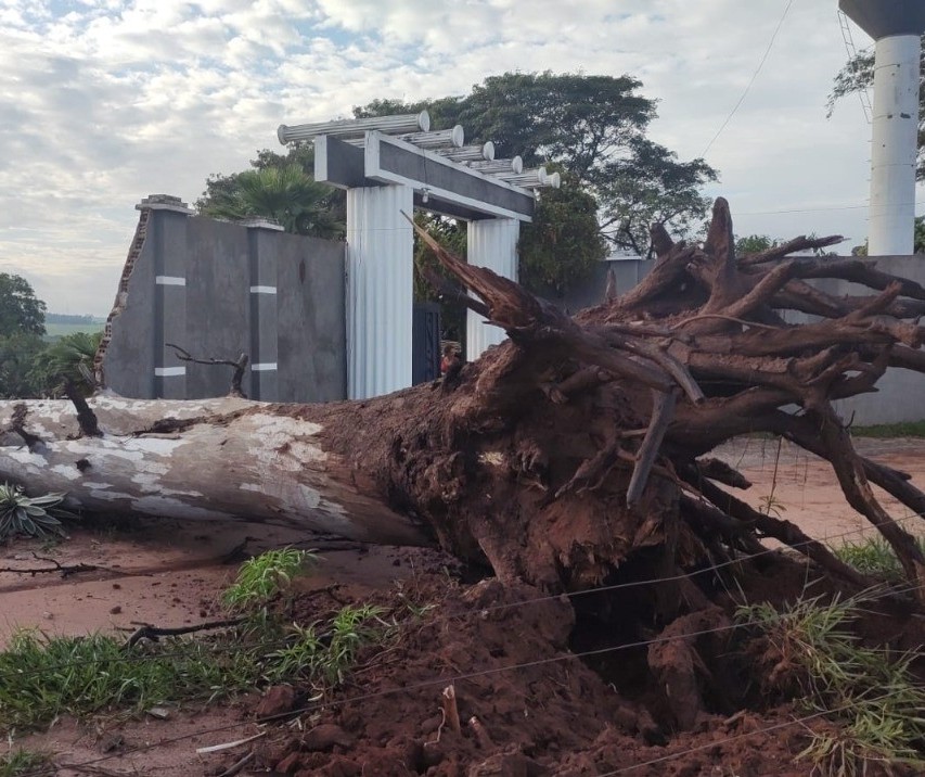 13 árvores caem e ruas ficam alagadas após temporal em Paranavaí