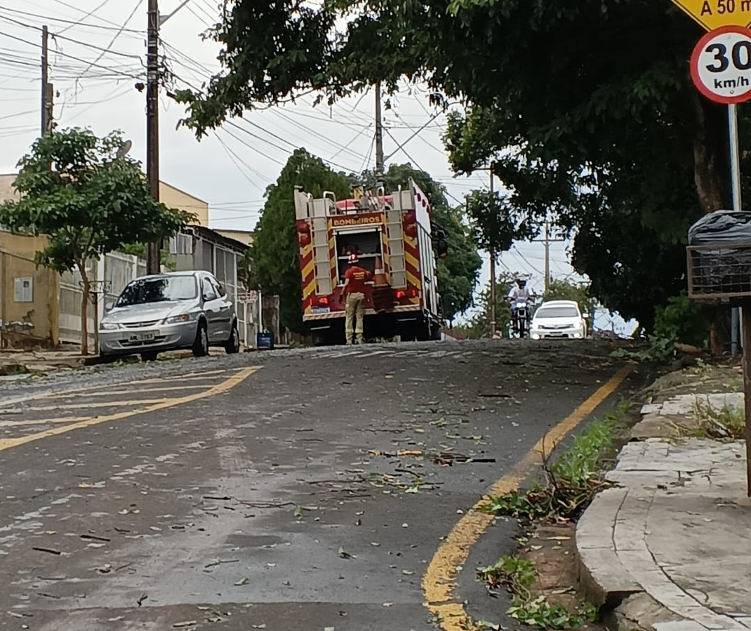 Primeira tempestade de 2026 deixa rastro de estragos em Londrina