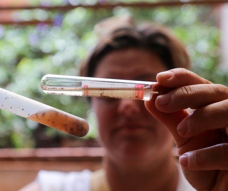 Maringá registra mais de 200 casos de dengue em uma semana, aponta Sesa