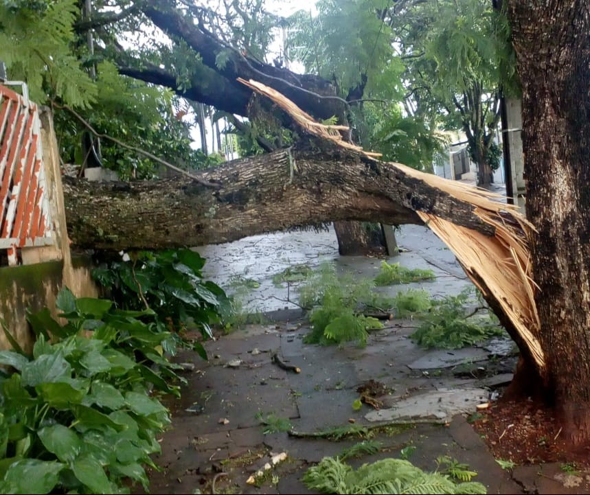 Novo temporal acumula estragos em Maringá