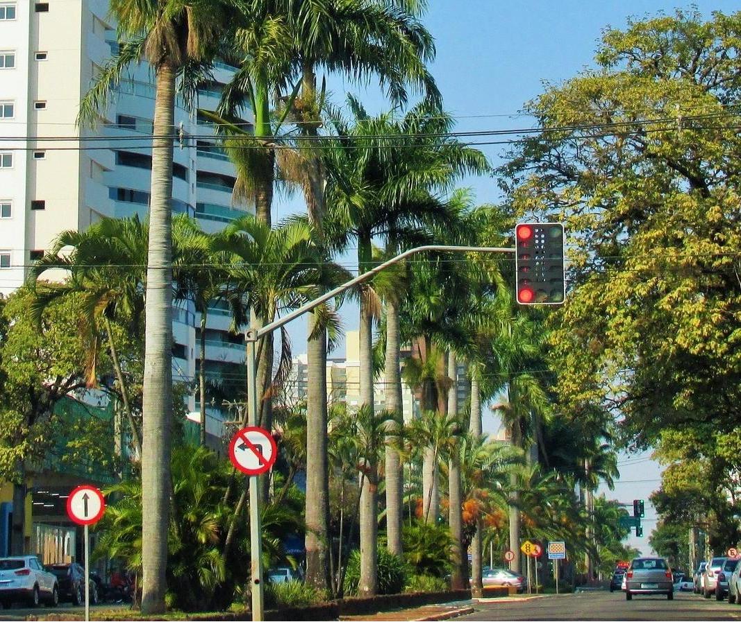 Veja como fica o tempo nesta quarta-feira (30)