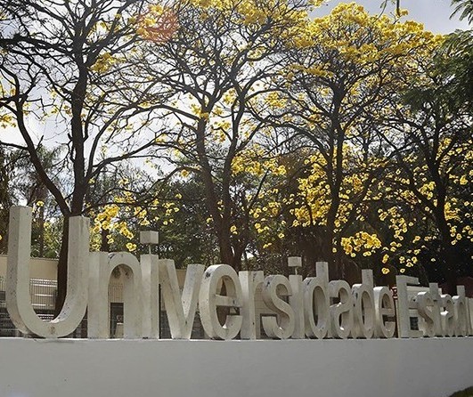 Universidade Estadual de Maringá realiza 1º Vestibular para Pessoas com Deficiência