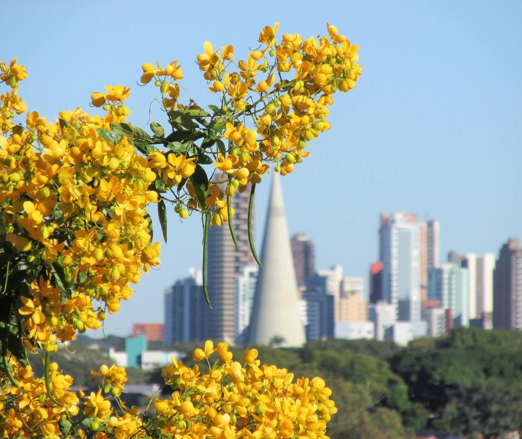Confira a previsão do tempo em Maringá e no Paraná