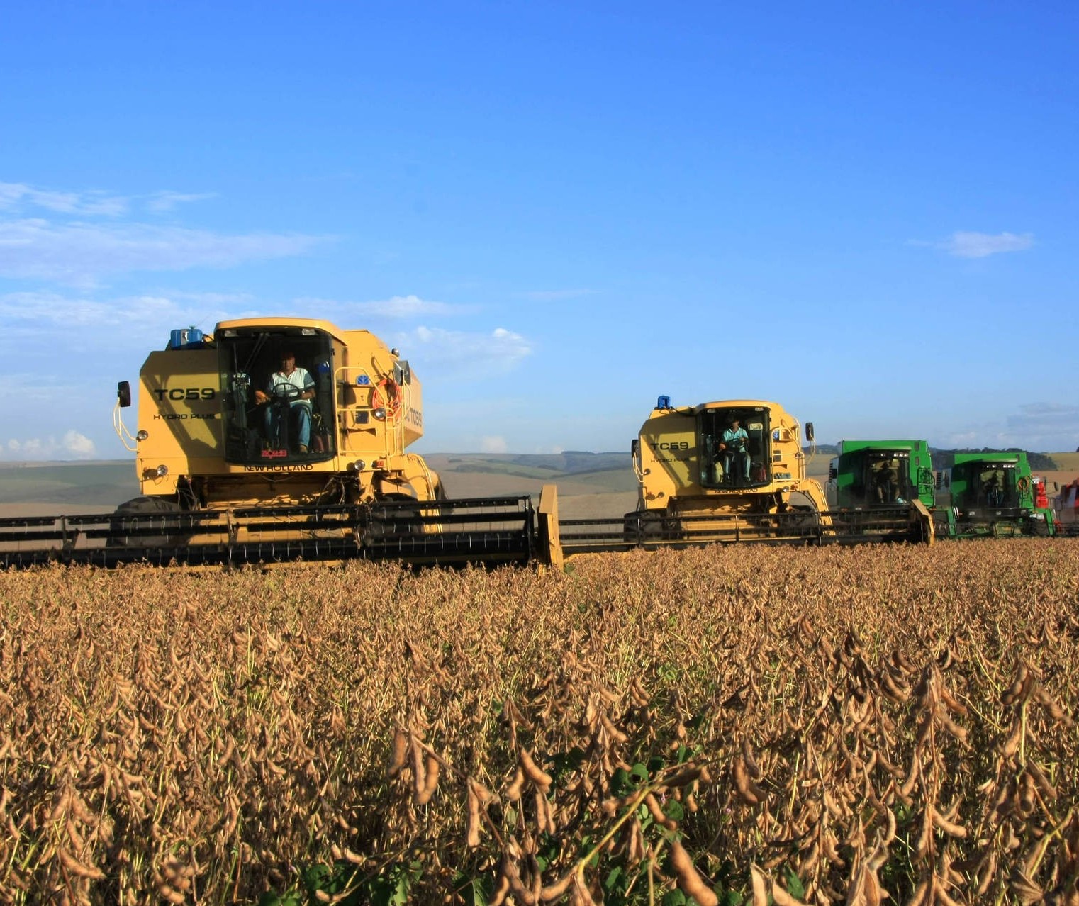 Qual será o futuro do agronegócio brasileiro?