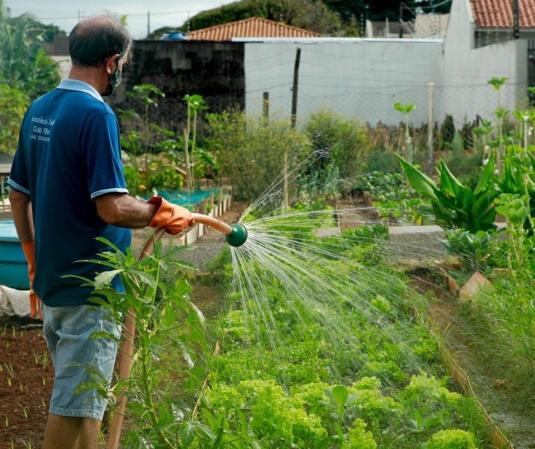 Nova horta comunitária deve beneficiar 58 famílias em Maringá