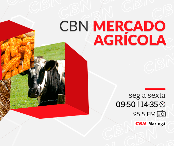 Café beneficiado registra nova alta e atinge R$ 1.750,00 por saca