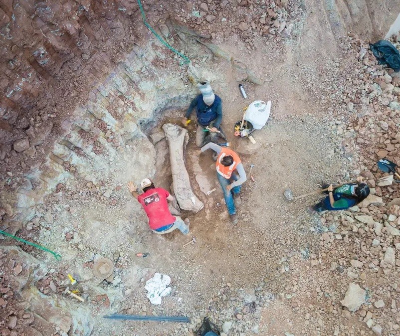 Pesquisadores de Maringá participaram de descoberta de fóssil de titanossauro