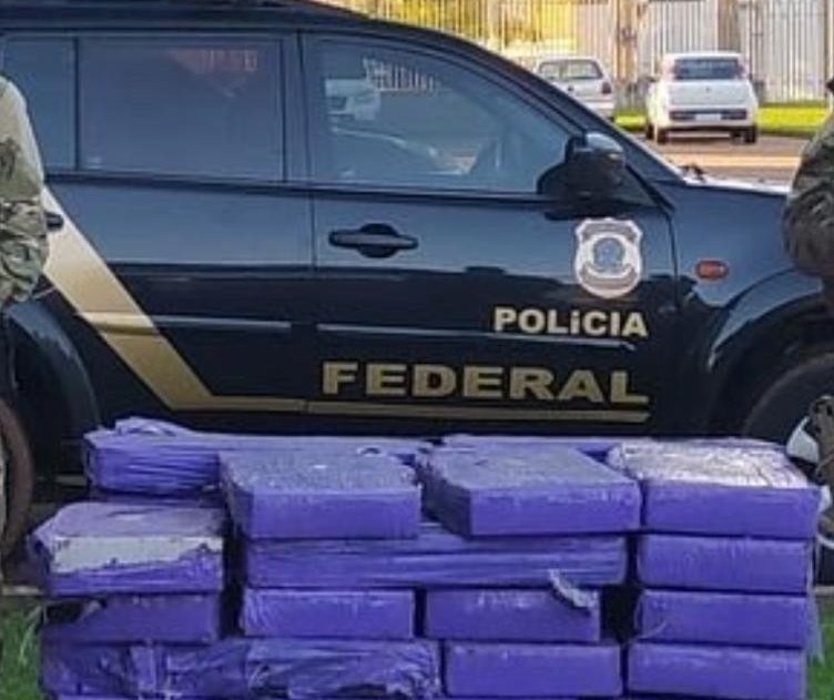 Polícia Federal de Maringá apreende mais de 600 quilos de maconha em operação