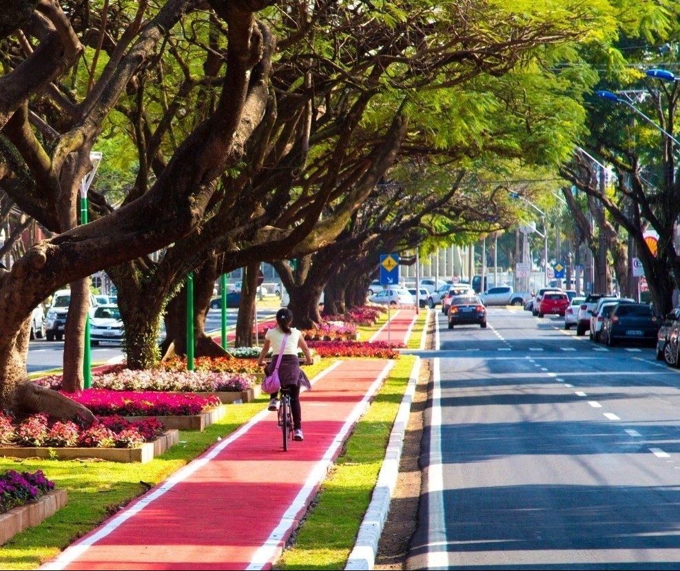 Consulta pública do Plano de Arborização encerra nesta segunda (29)