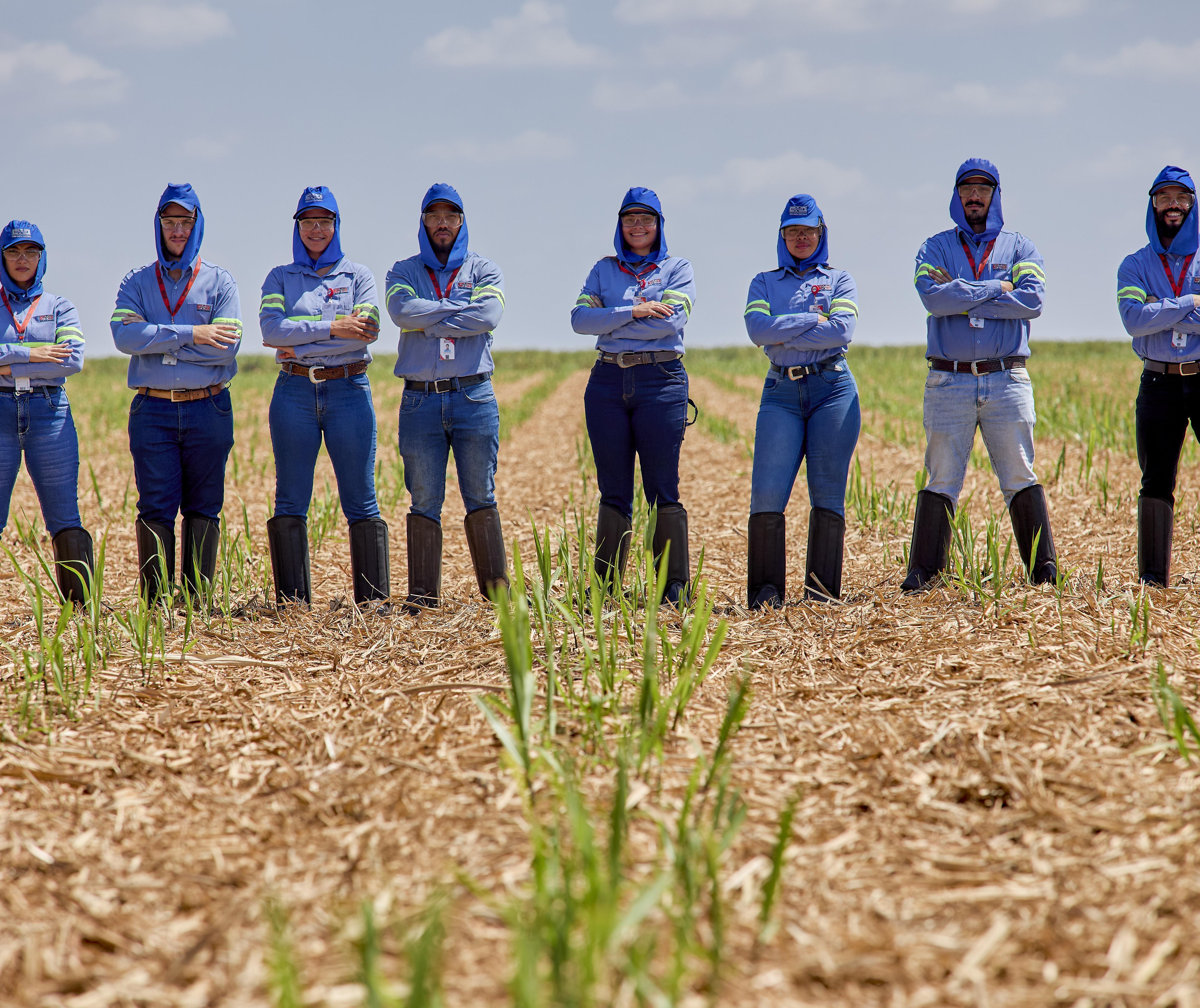 Usina Santa Terezinha abre inscrições para o Programa de Residência Agronômica 2026