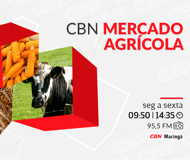 Soja segue negociada a R$ 121,00 por saca