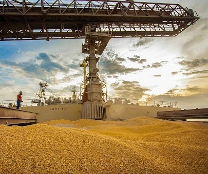Produção de grãos da safra 2020/21 deve ser maior da história, diz Conab