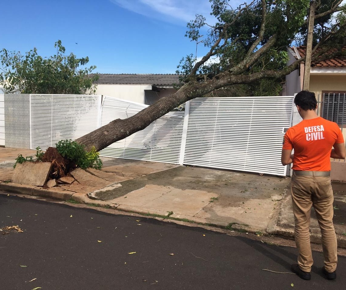 Chuva desse domingo(29) provoca queda de 15 árvores em Maringá