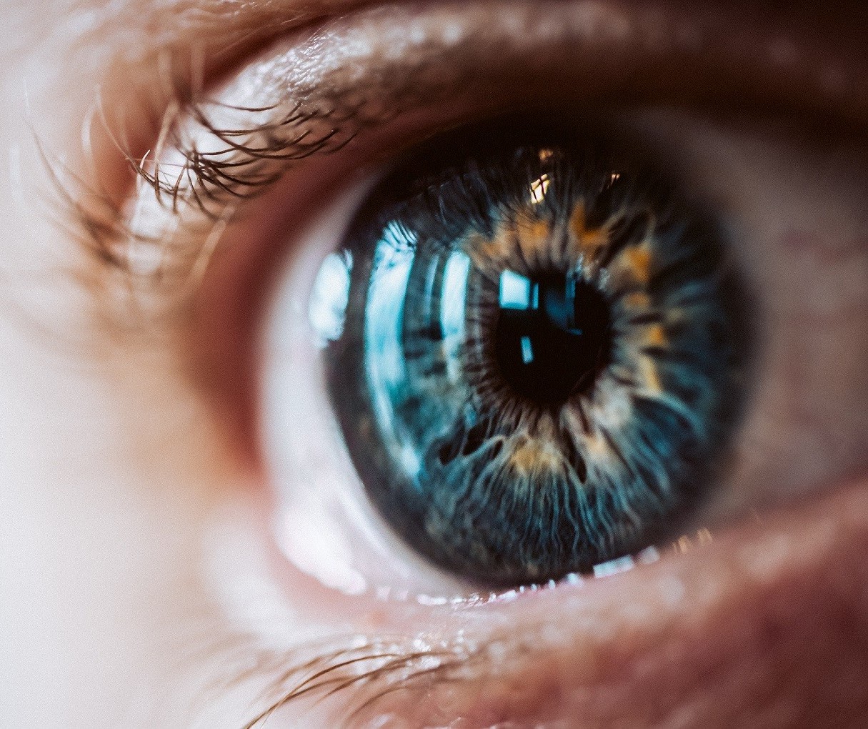 Evento chama a atenção para as doenças oculares raras