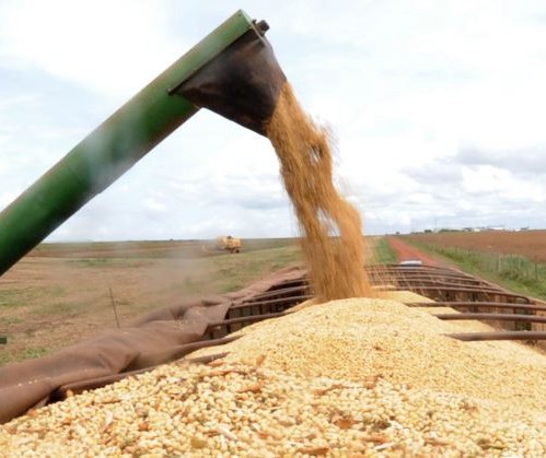 Aumento das tensões entre EUA e Irã pode dificultar exportações de milho do Brasil